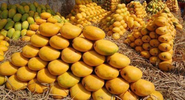 Mango2