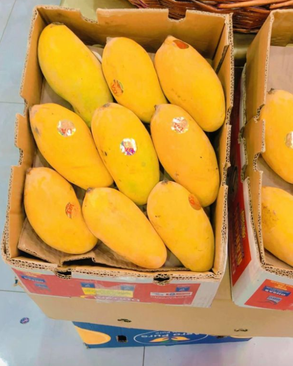Pakistani Best Mango