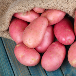 Potato