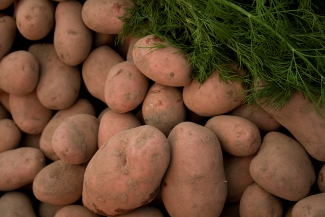 potato4
